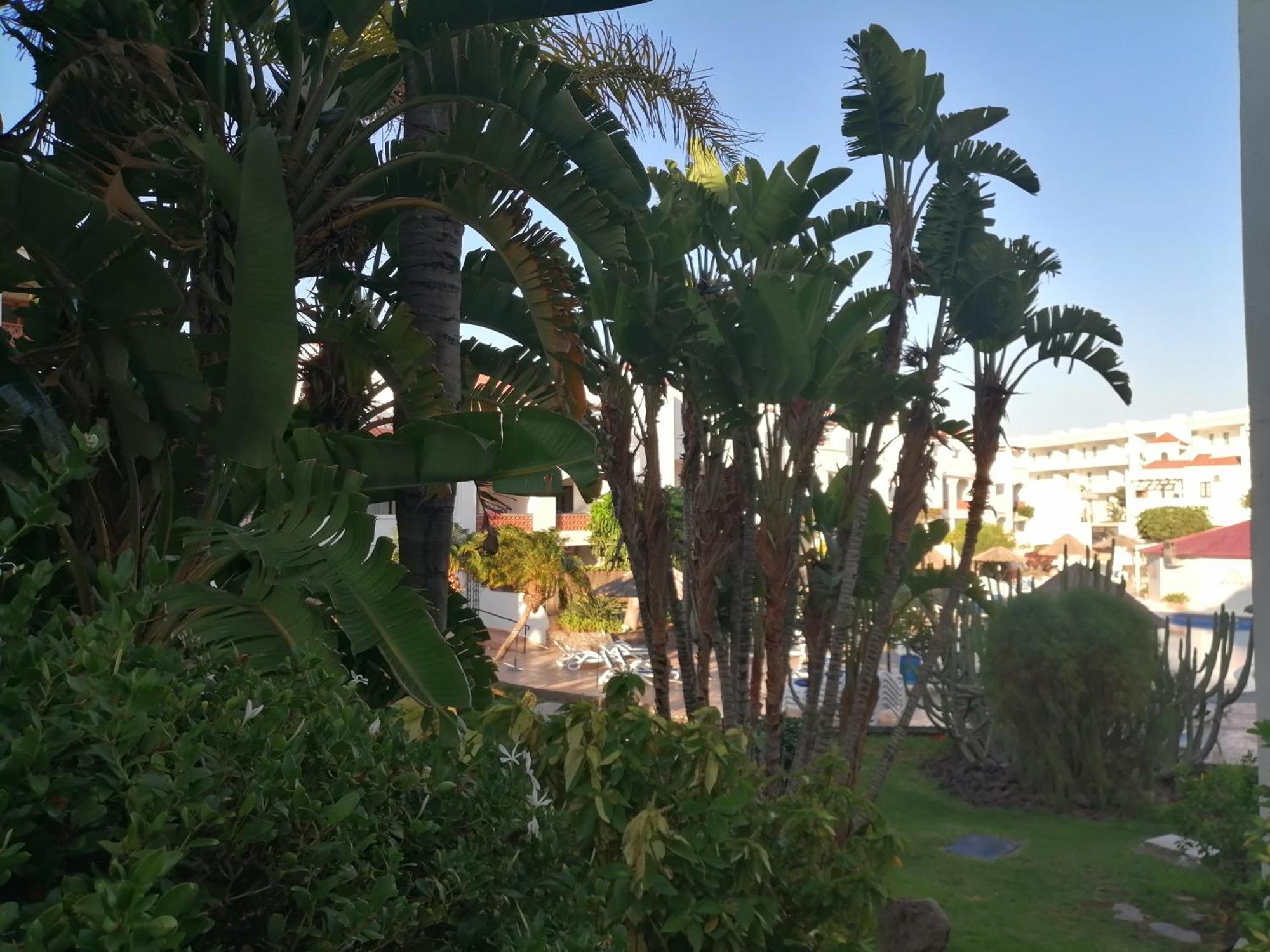 Fairways Club Terrace Appartamento San Miguel de Abona