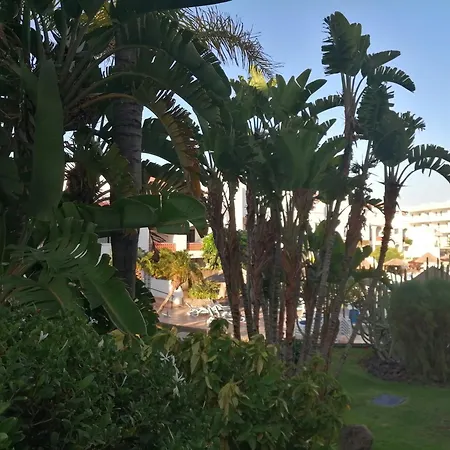 Appartement Fairways Club Terrace à San Miguel de Abona Extérieur photo